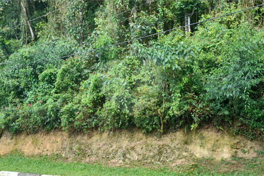 Terreno à venda em Roseira, Mairiporã, SP