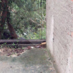 Terreno à venda em Santana, São Paulo, SP