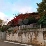 Casa à venda com 3 quartos, sendo 1 suíte, em Perus, São Paulo, SP