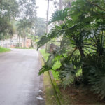 Terreno à venda no condomínio Alpes da Cantareira, Mairiporã - SP