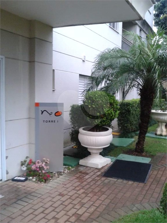 Apartamento para alugar com 2 quartos em Mandaqui, São Paulo, SP