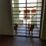 Sobrado à venda com 3 quartos, sendo 2 suítes,  em Vila Paulicéia, São Paulo, SP
