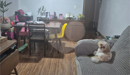 Apartamento à venda com 3 quartos em Vila Nova Cachoeirinha, São Paulo, SP