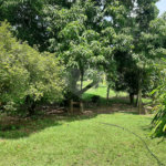 Terreno à venda em Cachoeira, Vinhedo, SP