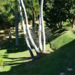 Casa à venda com 4 suítes no condomínio Monte Samkhya, Serra Negra - SP