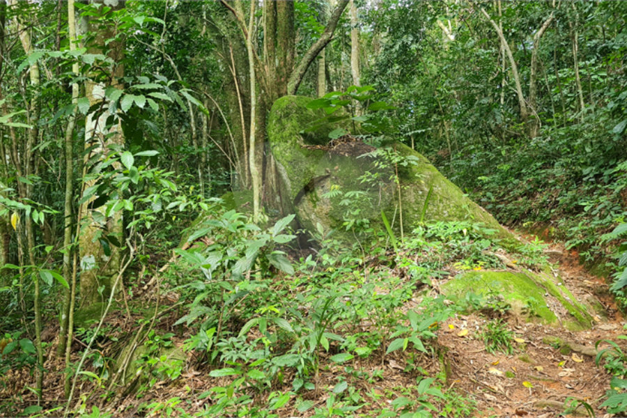 Terreno à venda em Caraguatá, Mairiporã, SP