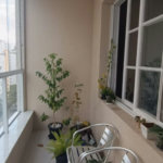 Apartamento com 2 dormitórios à venda, 100 m² por R$ 780.000,00 - Gonzaga - Santos/SP