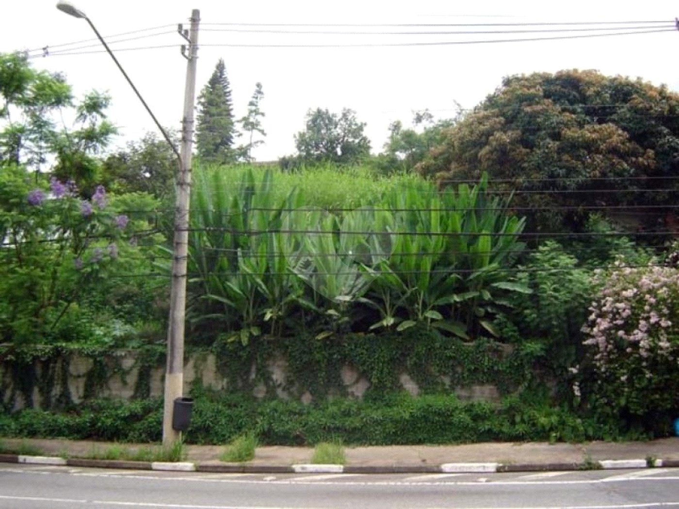 Terreno à venda em Vila Andrade, São Paulo, SP