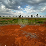 Terreno à venda no condomínio Residencial Quinta das Palmeiras, Itapetininga - SP