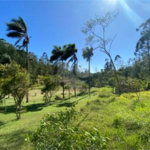 Sítio à venda com 2 quartos, sendo 1 suíte, em Ibiúna, Ibiúna, SP
