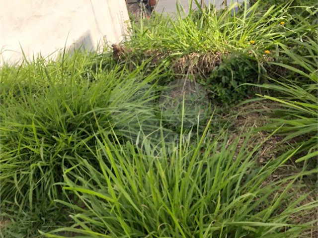 Terreno à venda em Horto, São Paulo, SP