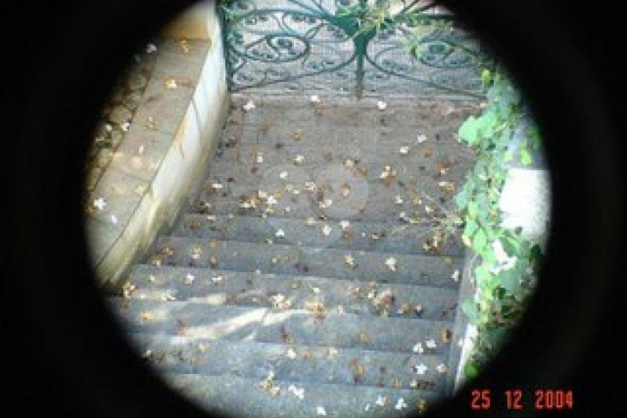 Casa à venda ou para alugar com 5 suítes em Jardim São Bento, São Paulo, SP