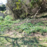 Loteamento à venda em Serra da Cantareira, São Paulo, SP