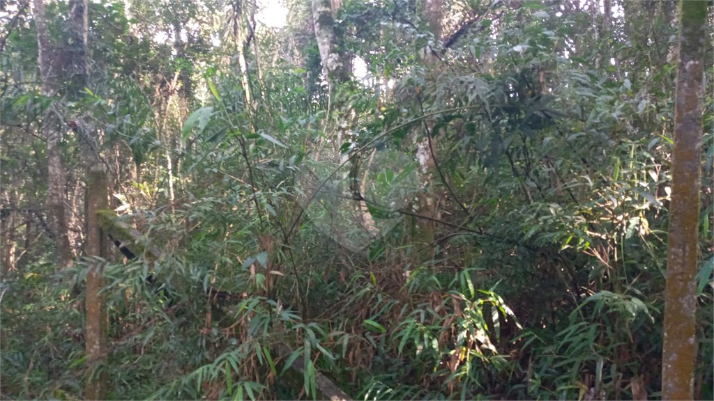 Terreno à venda em Serra da Cantareira, Mairiporã, SP