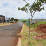 Terreno à venda no condomínio Alto da Boa Vista Cravinhos, Cravinhos - SP