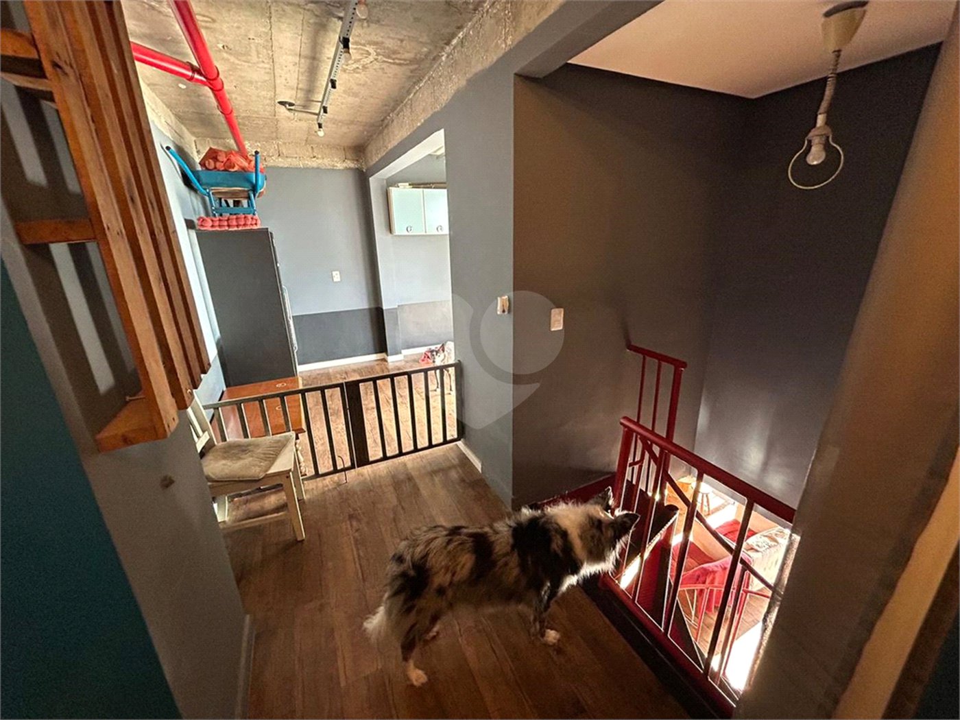 Apartamento à venda com 3 quartos, sendo 1 suíte, em Chácara Califórnia, São Paulo, SP