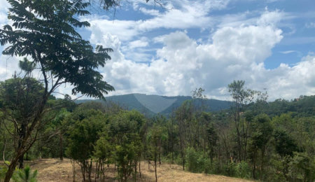 Terreno à venda em Serra da Cantareira, Mairiporã, SP
