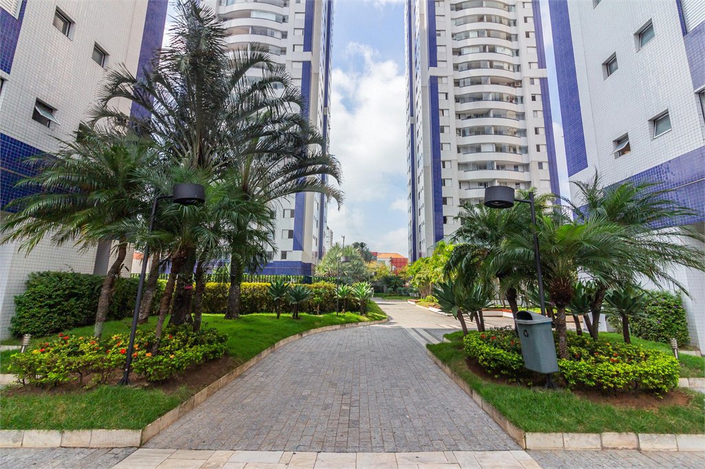 Apartamento à venda com 3 quartos, sendo 1 suíte, em Cambuci, São Paulo, SP