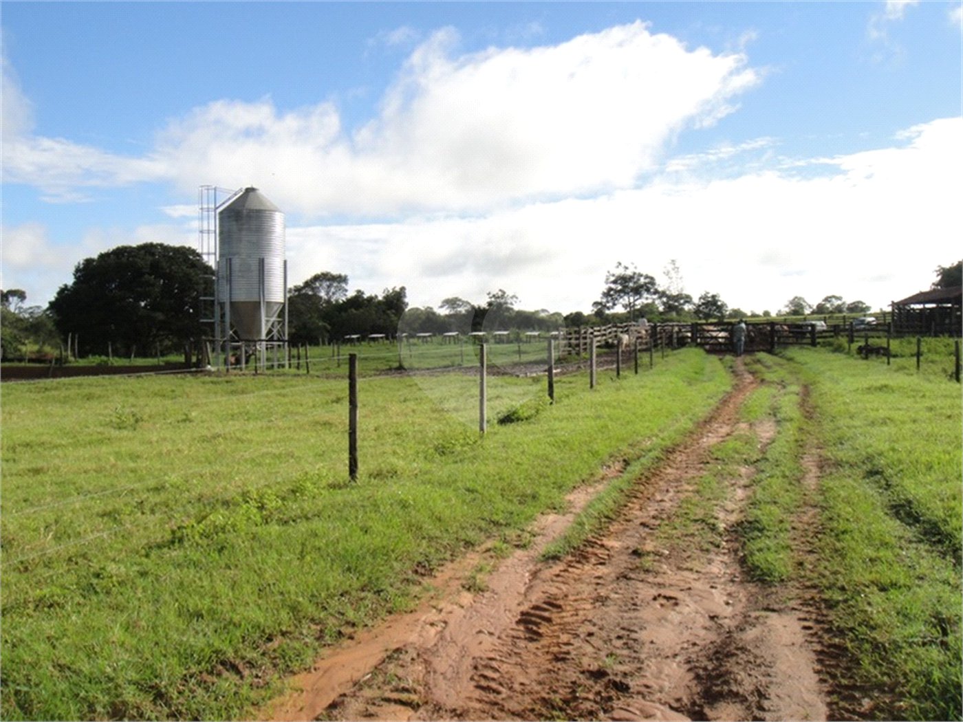 Fazenda à venda com 2 quartos em Canabrava, João Pinheiro, MG