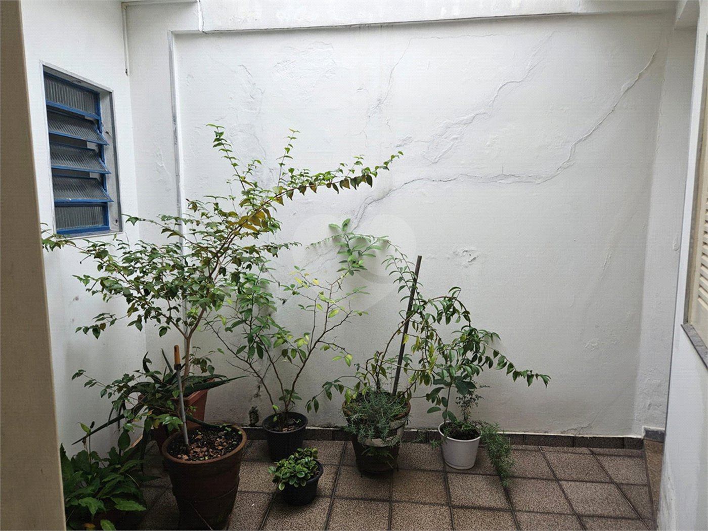 Casa à venda com 3 quartos em Tucuruvi, São Paulo, SP