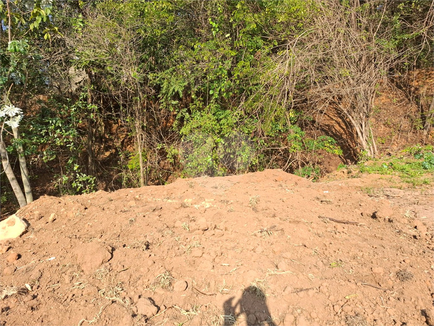 Terreno à venda em Recanto Campestre Internacional de Viracopos Gleba 6, Indaiatuba, SP