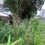 Terreno à venda em Jardim Hípico, São Paulo, SP