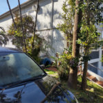 Sobrado à venda com 3 quartos em Tremembé, São Paulo, SP