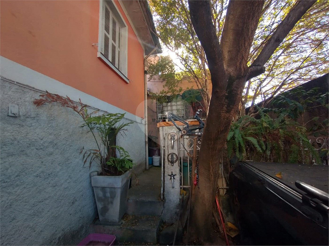 Casa Térrea à venda com 3 quartos em Vila Gustavo, São Paulo, SP