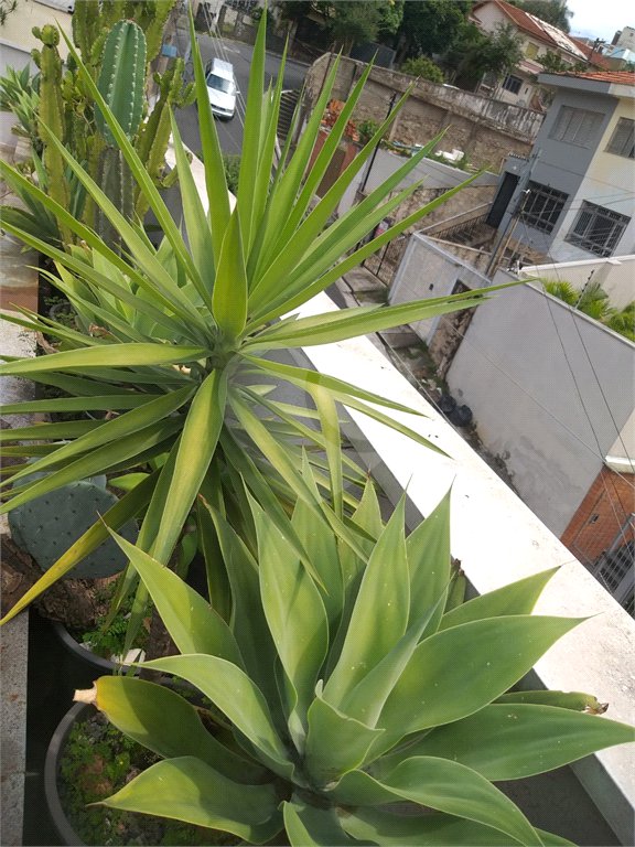 Sobrado à venda com 3 suítes em Santana, São Paulo, SP