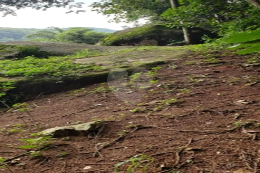 Terreno à venda em Horto, São Paulo, SP
