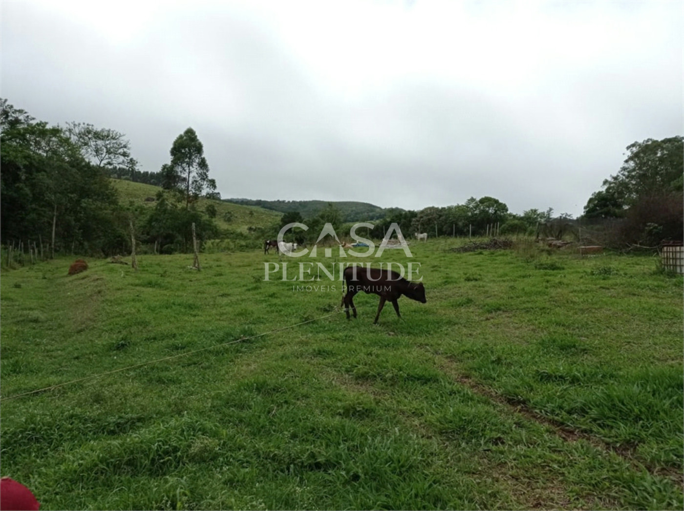 Sítio à venda com 2 quartos em Gramadão, São Miguel Arcanjo, SP