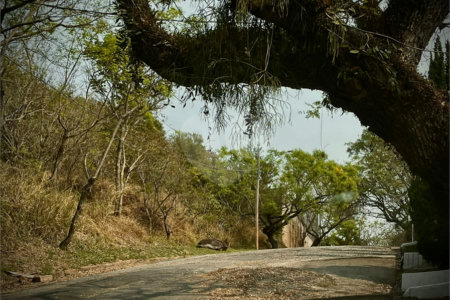Loteamento à venda em Alpes de Atibaia, Atibaia, SP