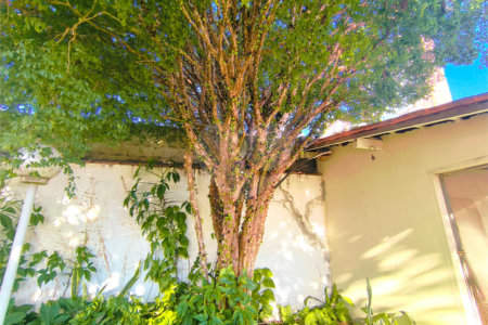 Casa para alugar com 2 quartos, sendo 1 suíte, no Centro, Indaiatuba, SP