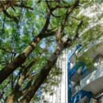 Duplex à venda ou para alugar com 1 suíte em Vila Madalena, São Paulo, SP