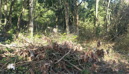 Terreno à venda em Vila Rosa, Itapetininga, SP