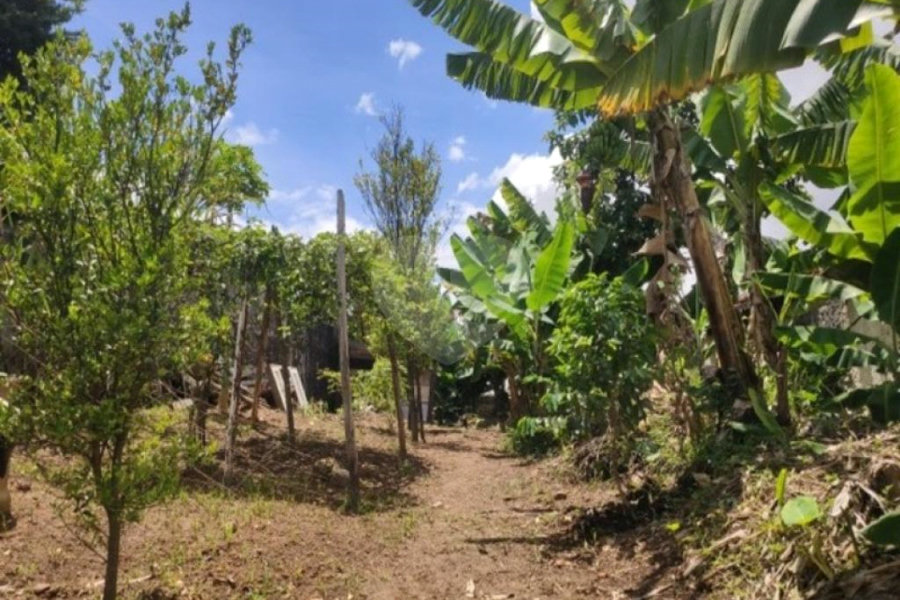 Terreno à venda em Tremembé, São Paulo, SP