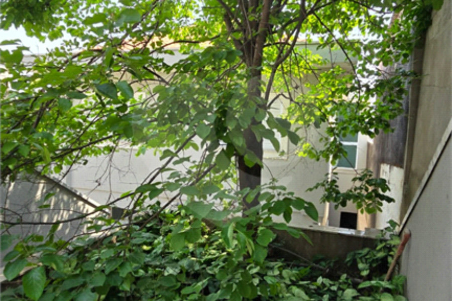 Sobrado à venda com 3 quartos, sendo 1 suíte, em Pirituba, São Paulo, SP