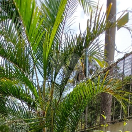 Sobrado à venda com 3 quartos, sendo 1 suíte, em Parque Jabaquara, São Paulo, SP
