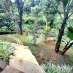 Casa à venda com 4 quartos, sendo 3 suítes,  no condomínio Itatinga 1, São Paulo - SP