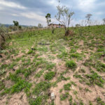 Terreno à venda em Recanto das Acácias, São Roque, SP