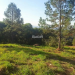 Condomínio de Chácaras Fazenda Elisa – Atibaia