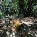 Terreno à venda em Residencial Emilio de Andrade, Ponta Porã, MS
