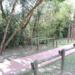 Casa à venda com 4 quartos, sendo 2 suítes,  no condomínio Granja Vianna II, Cotia - SP