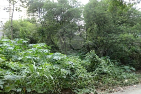 Terreno à venda em Vila Suzana, São Paulo, SP