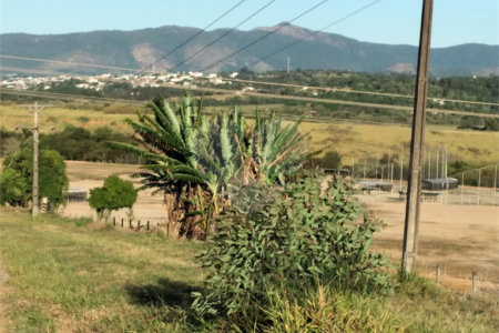 Chácara à venda com 4 quartos, sendo 1 suíte,  em Vila Dom Pedro, Atibaia, SP
