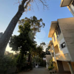 Casa à venda com 3 suítes no condomínio Domus, São Paulo - SP