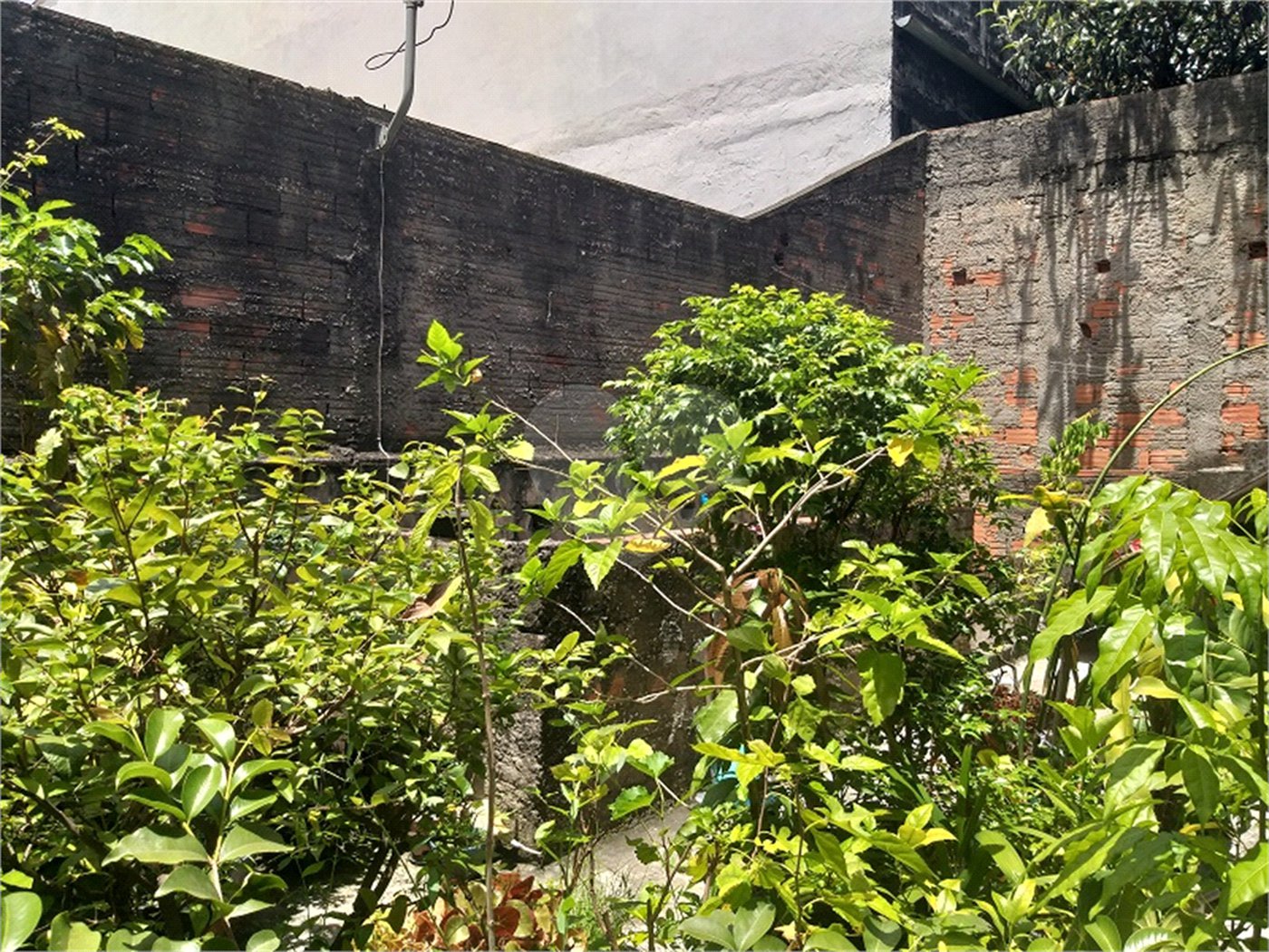 Prédio à venda ou para alugar em Freguesia do Ó, São Paulo, SP