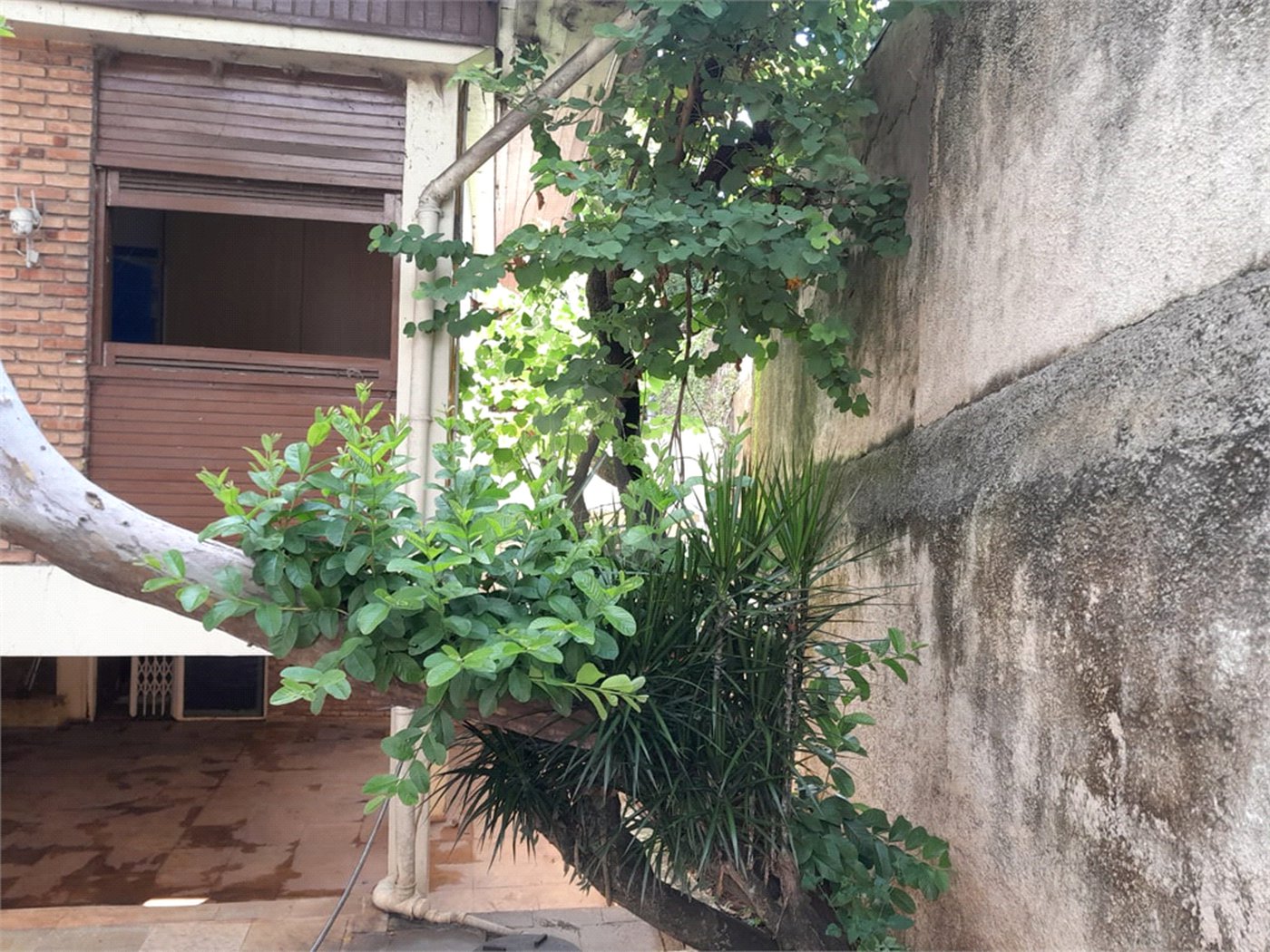 Sobrado à venda com 6 quartos, sendo 3 suítes, em Rolinópolis, São Paulo, SP