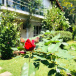 Casa Térrea à venda com 4 quartos, sendo 1 suíte, em Roseira, Mairiporã, SP