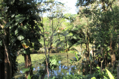 Terreno à venda em Chácara Flora, São Paulo, SP